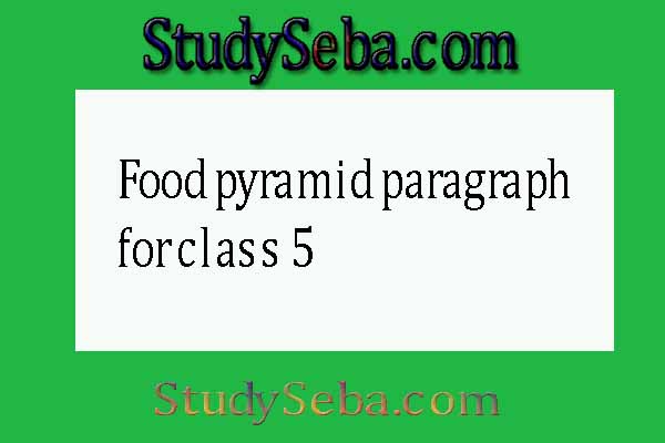 Food pyramid paragraph for class 5