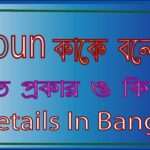 noun কাকে বলে কত প্রকার details in bengali